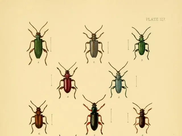 Interpreting the Symbolic Sagas of Your Slumber