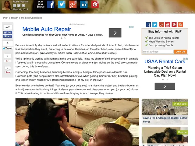 Enduring Imprint of Youthful Inquisitiveness: Childhood Wonder's Significant Legacy in Cognitive...