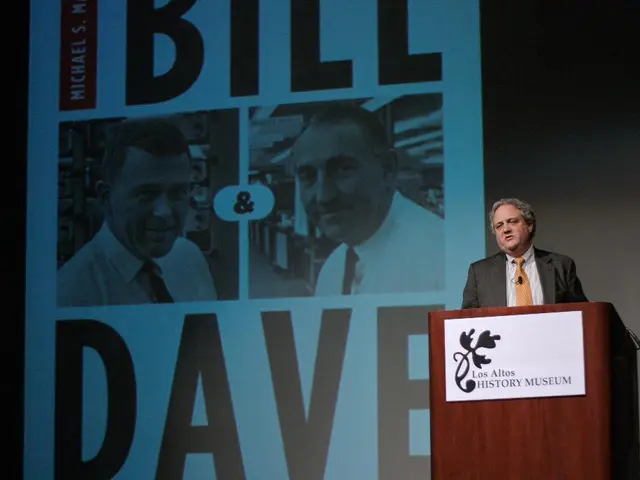 Chimamanda Ngozi Adichie's View: Peter Obi is Not Necessarily the Ideal Choice for President of...