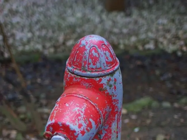 Hydraulic Systems Explored: Operation and Wide-Ranging Usage