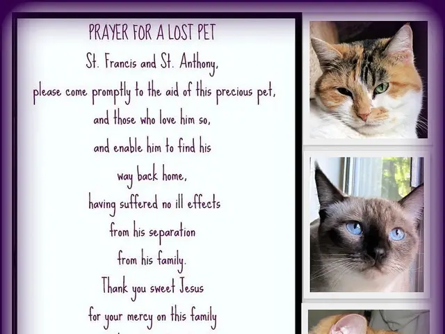 Interpreting the Significance of Nighttime Visions