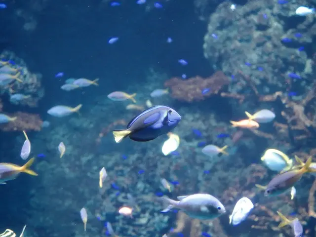 Open positions announced: Aquatic Research Technician positions at Minnesota Sea Grant