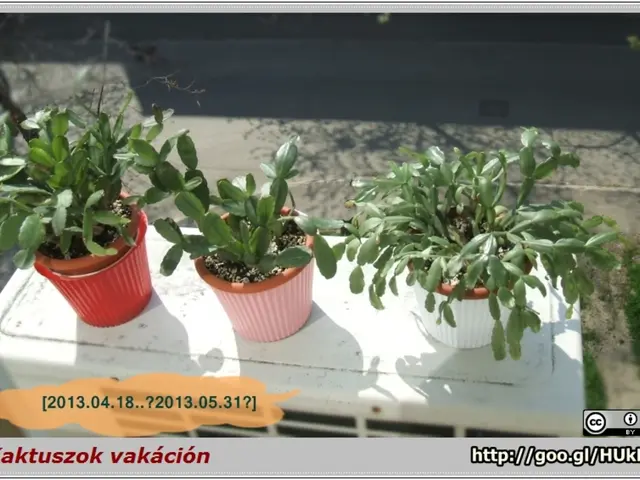 Job opening for Young Professional-II at ICAR-IARI, New Delhi