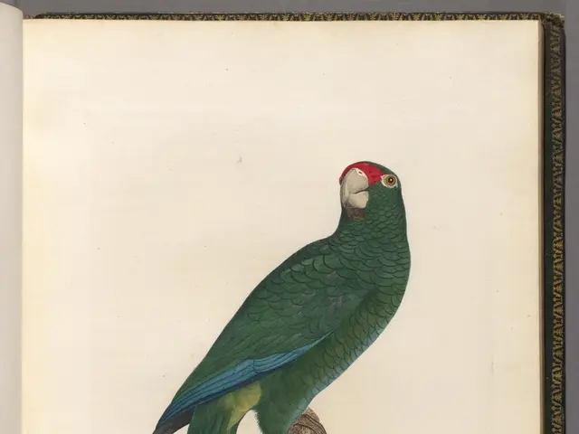 Released: First-round allotment list for undergraduate admissions at Banaras Hindu University; find...