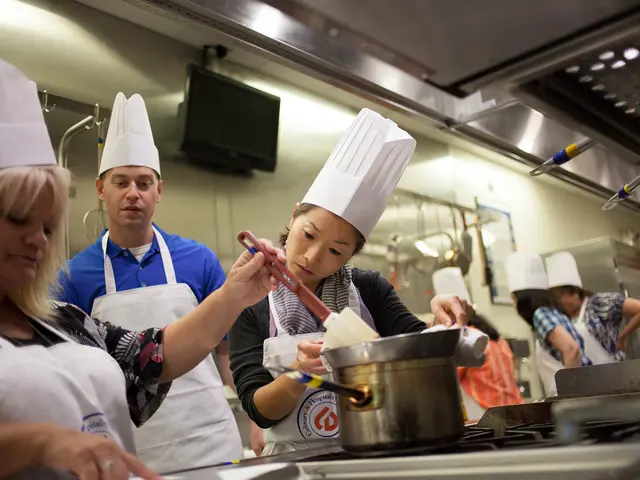 Comparing Gas, Ceramic, and Induction Cooking Appliances