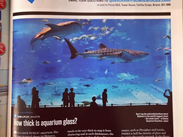 The Importance of Earth Day: The Implication of Species Extinction Extends Beyond Wildlife-It...