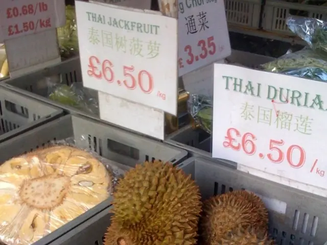 Pectin Market Projected to Achieve USD 1.9 Billion by 2034, Displaying a 5.6% Annual Growth Rate