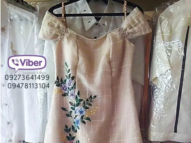 Georgia initiates application process for complimentary brief-term skill development programs