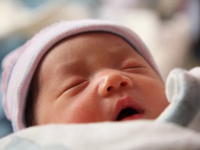 Importance of Child Care Policies for Americans, Even Without Children of Their Own