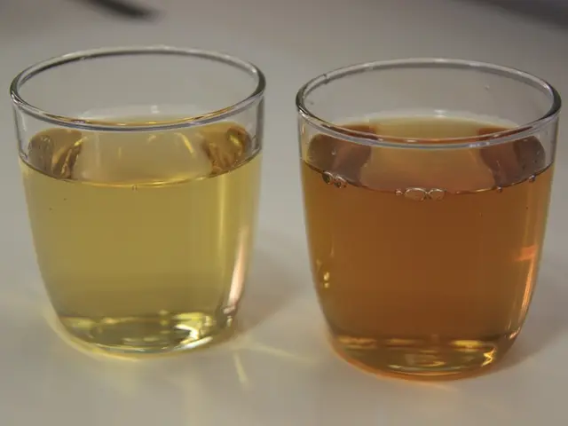 Glaucoma-friendly Diet: Recognizing Harmful Foods and Preventive Measures