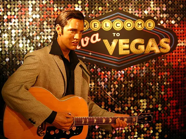 "Comprehensive Insights into our School's Recording Practices (PBR)"