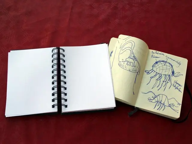 Navigation for Those Declined by PICS and IIP: Steps to Consider After Rejection