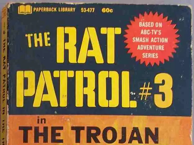 Military-driven strategy adopted by Winsome Earle-Sears during her political campaign