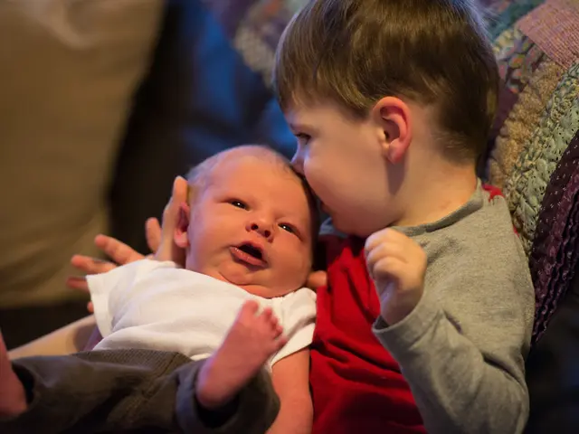 Activities Conducted Daily at Daycare Facilities