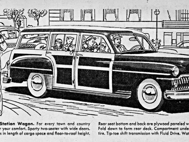 Multiple Examples of UML Diagrams: Class, Activity, and Further Variants