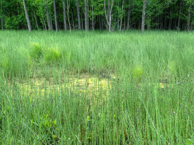 A collection of agricultural workers convening in one location.