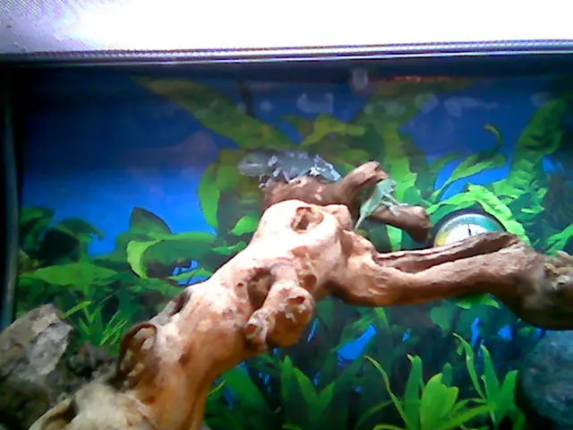 Empowering Coastal Leaders for 2025-26: Preparing Africa's Advocates to Share and Protect Their...