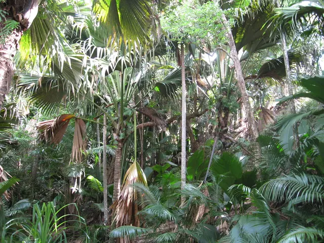 Deterioration of Pakistan's Environmental Situation Reaches Critical Point with Forest Cover...