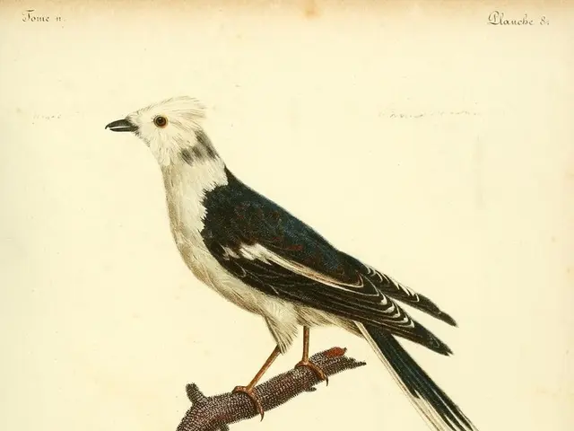 Redefining Work Experience: Bree Groff's Revolutionary Perspective