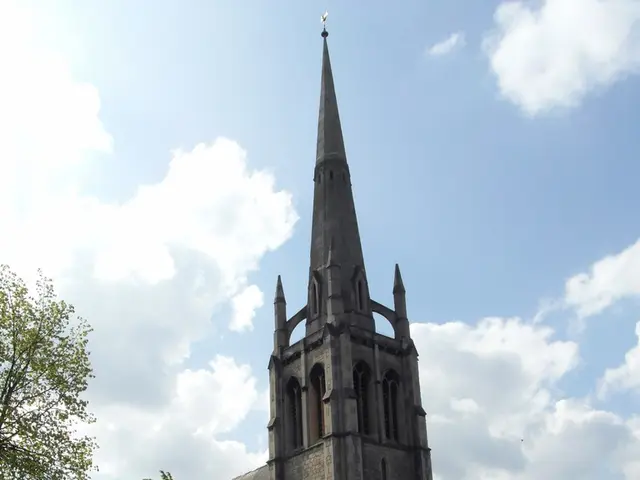 Restoration and safeguarding of Earth's vital lungs called for by Anglican Communion Office