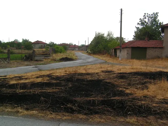 Earn a maximum of 130 Br per day, no certifications required.