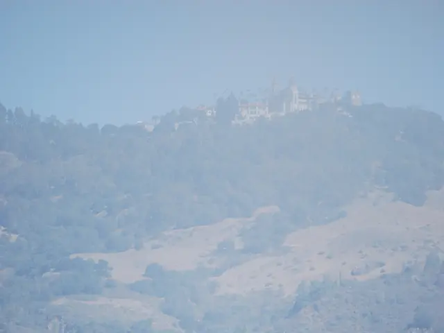 Navigating Together through the Current Trend