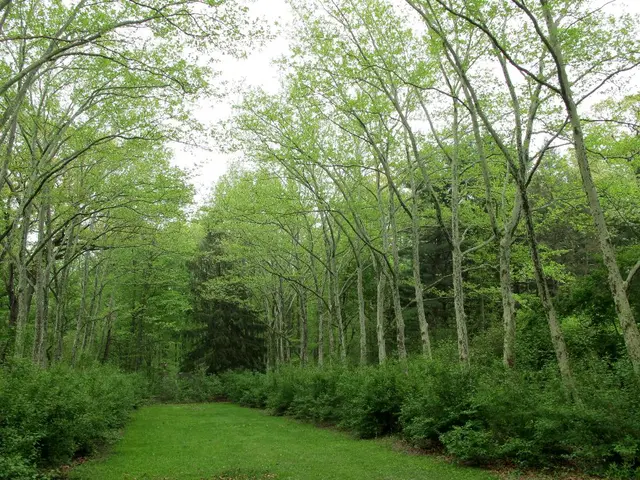 Website head honcho revisits old primary school, applauding thousands of educational institutions...