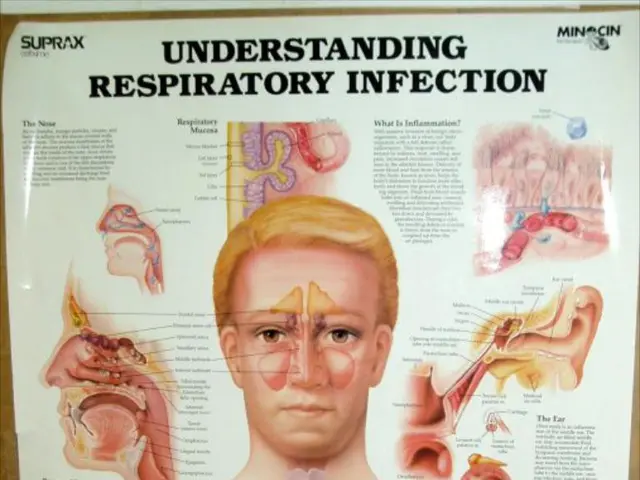 Transforming from 'Body Positivity' to 'Body Neutrality': A Guide and Its Justification