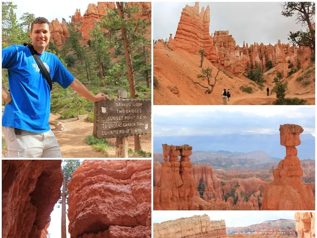 This image looks like an edited photo in which I can see historical monuments, trees, group of...