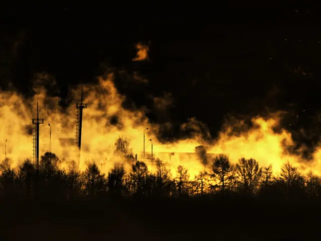 As we can see in the image there are trees, current poles, buildings and fire. The image is little...