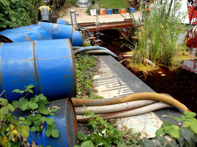 In this image we can see leaves, trees, cylindrical drums, pipes, water and plants. On top of the...