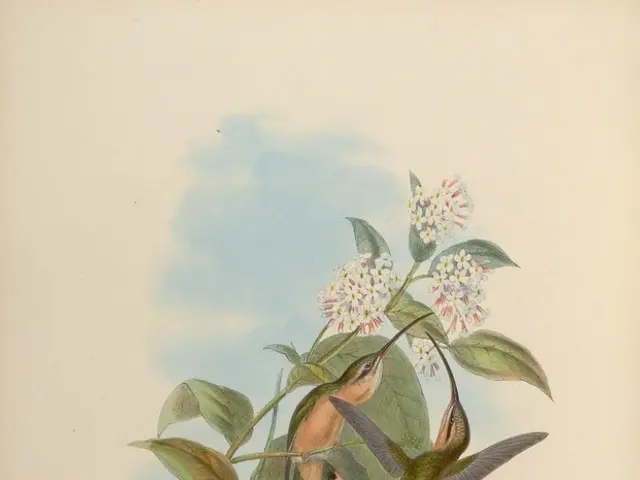 In this image we can see painting of birds and stems with leaves and flowers. Also there is text on...