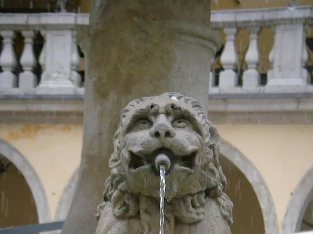 In this image there is a fountain in the background there is a building.