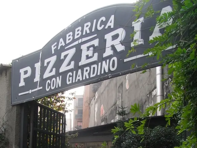 Here we can see a name board,gate,buildings,house plants on the floor,trees,windows,wall and this...