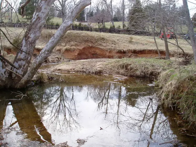 In this image there is a lake around that there are so many trees at the back there is a fence and...