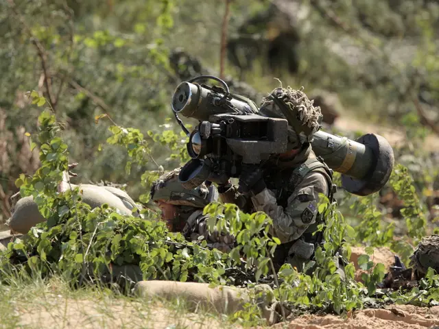 In this image, we can see two soldiers and there are some green plants and trees.