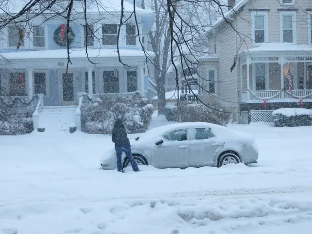 In this image I can see a car, plants, trees and buildings are covered with the snow. Here I can...