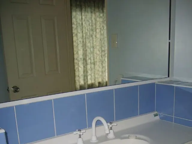This is a picture taken in washroom. In the foreground there are closet, sink, tap and mirror, in...