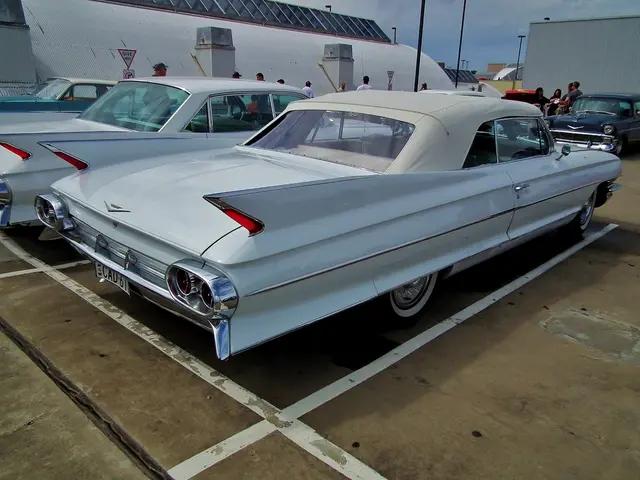 This image is taken outdoors. At the bottom of the image there is a floor. At the top of the image...