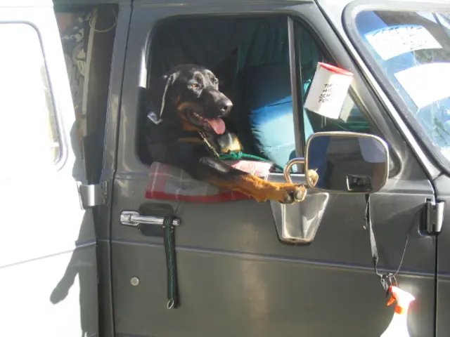 There is a black dog sitting in a car and keeping her head outside from the window.
