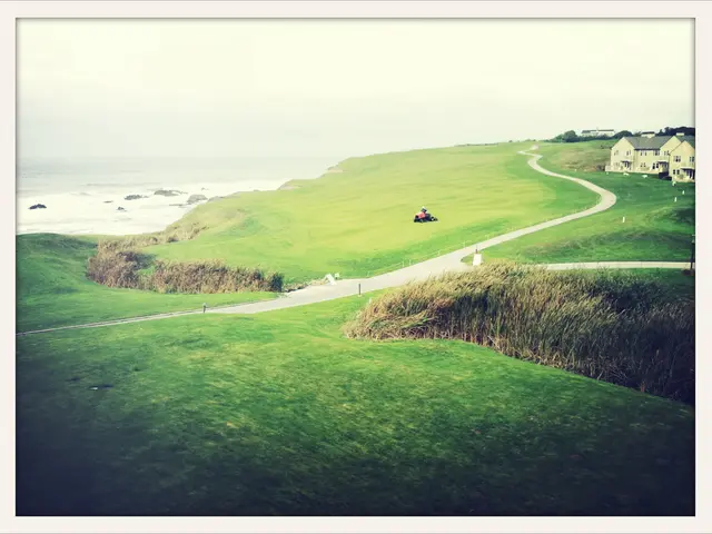 This is a picture taken along the countryside. In the foreground of the picture there are weed and...