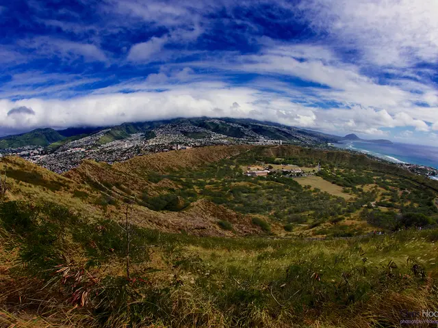 In this picture there is a mountain valley full of trees and dry grass. On the top there is a sky...