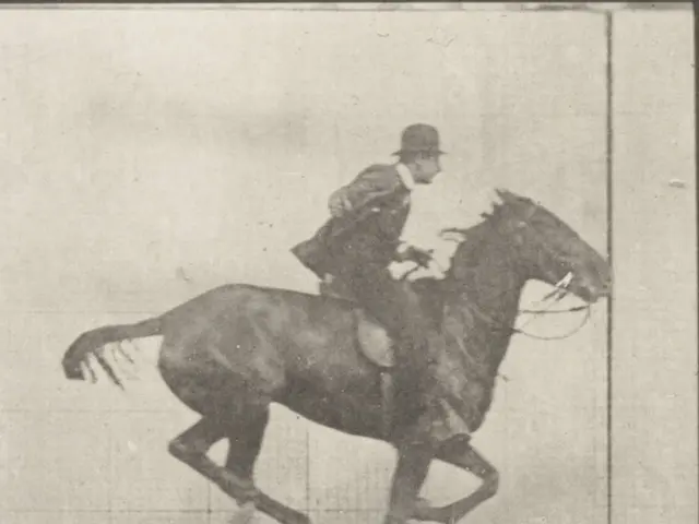 In this image we can see a picture of a man riding the horse.