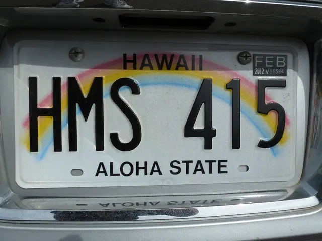In the picture we can see a vehicle number plate on it, we can see a HAWAII HMS 415, Aloha state.