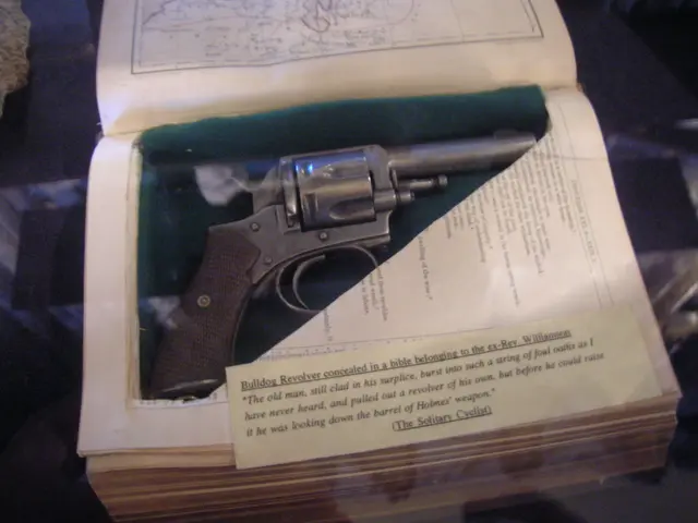 In this picture I can see a gun in the book and I can see text on the papers.