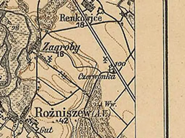 The image shows an old map of the city of Rozniziszew, Poland, with text and numbers indicating the...