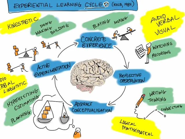 The image shows a mind map of the experiential learning cycle, with a brain in the center...