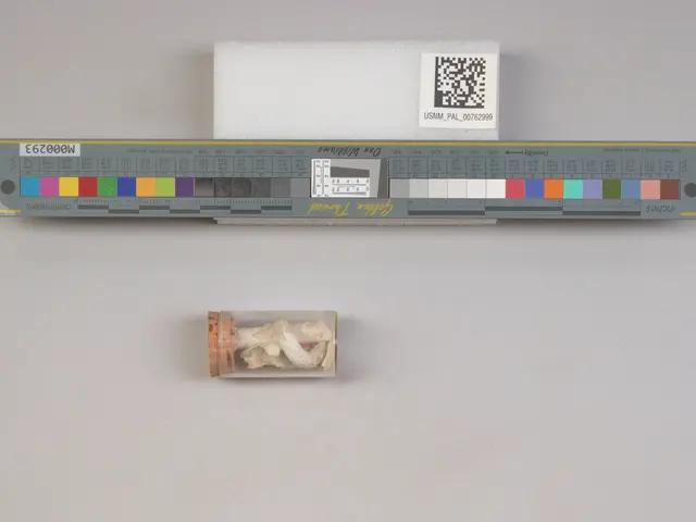 The image shows a scale with a QR code on it next to a small piece of paper, which appears to be a...