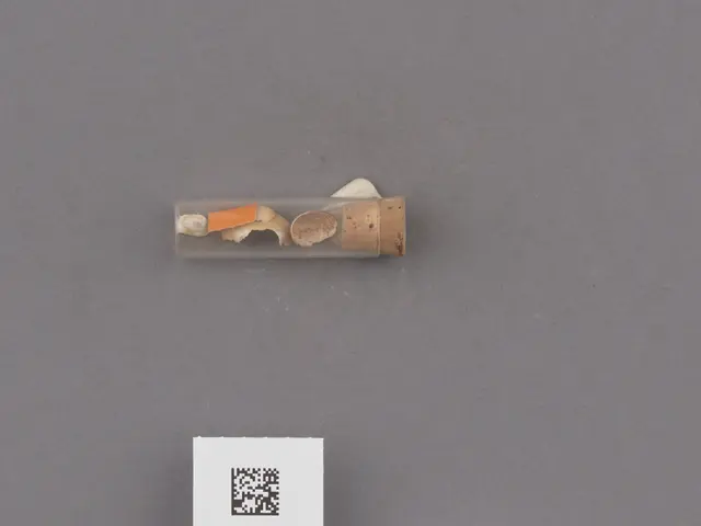 The image shows a small piece of paper with a QR code on it next to a ruler, a scale, and a few...