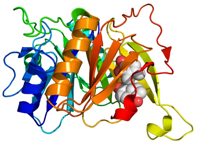 The image shows a 3D model of a protein molecule with a white background. It is animated, with...